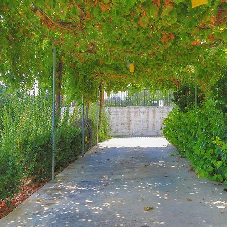 Villa Aphrodite Finiki Polis Bagian luar foto
