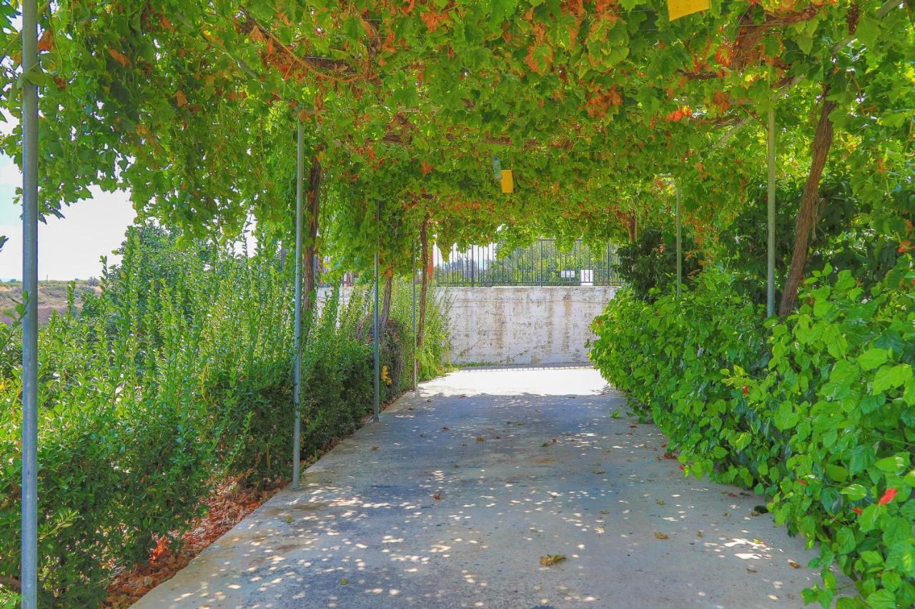 Villa Aphrodite Finiki Polis Bagian luar foto